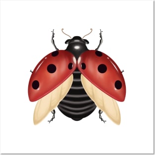 Red ladybug digital drawing Posters and Art